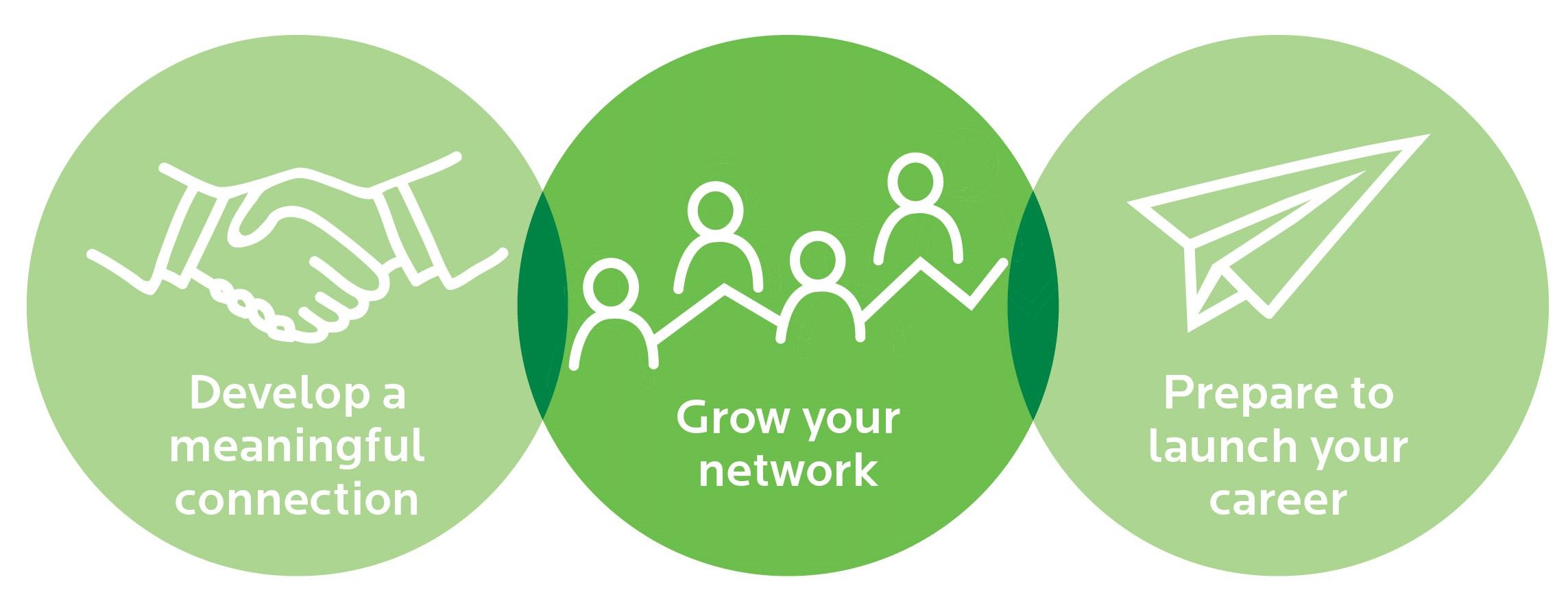 Professional mentorship diagram